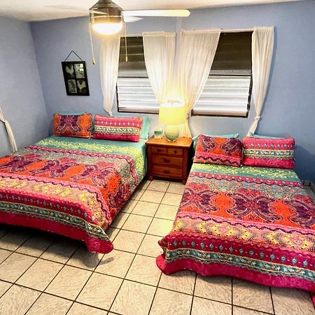 Esperanza Inn Guesthouse (Adults Only) Вьекес Номер фото