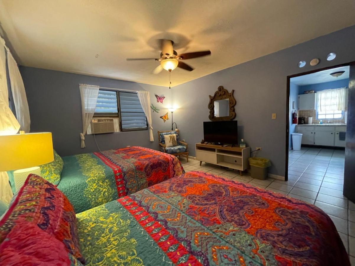 Esperanza Inn Guesthouse (Adults Only) Вьекес Номер фото