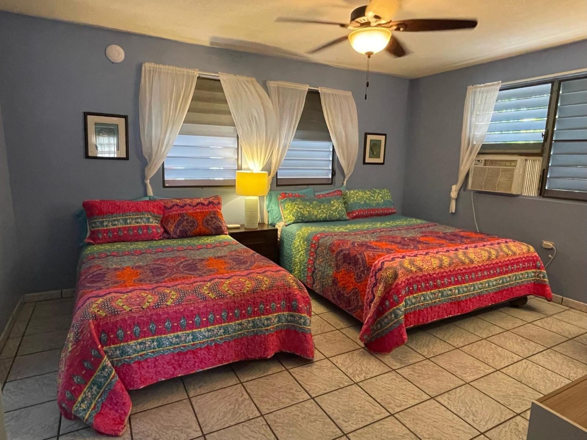Esperanza Inn Guesthouse (Adults Only) Вьекес Номер фото