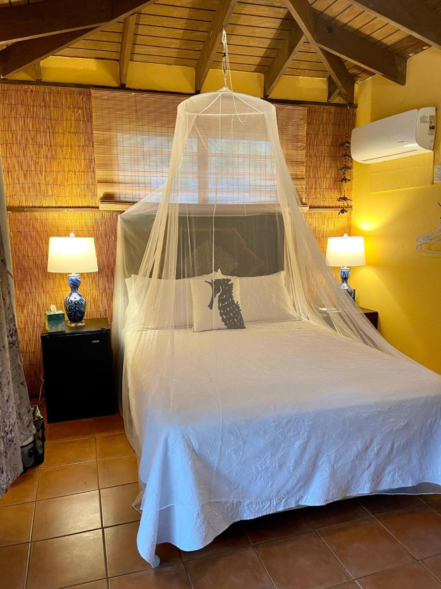 Esperanza Inn Guesthouse (Adults Only) Вьекес Номер фото