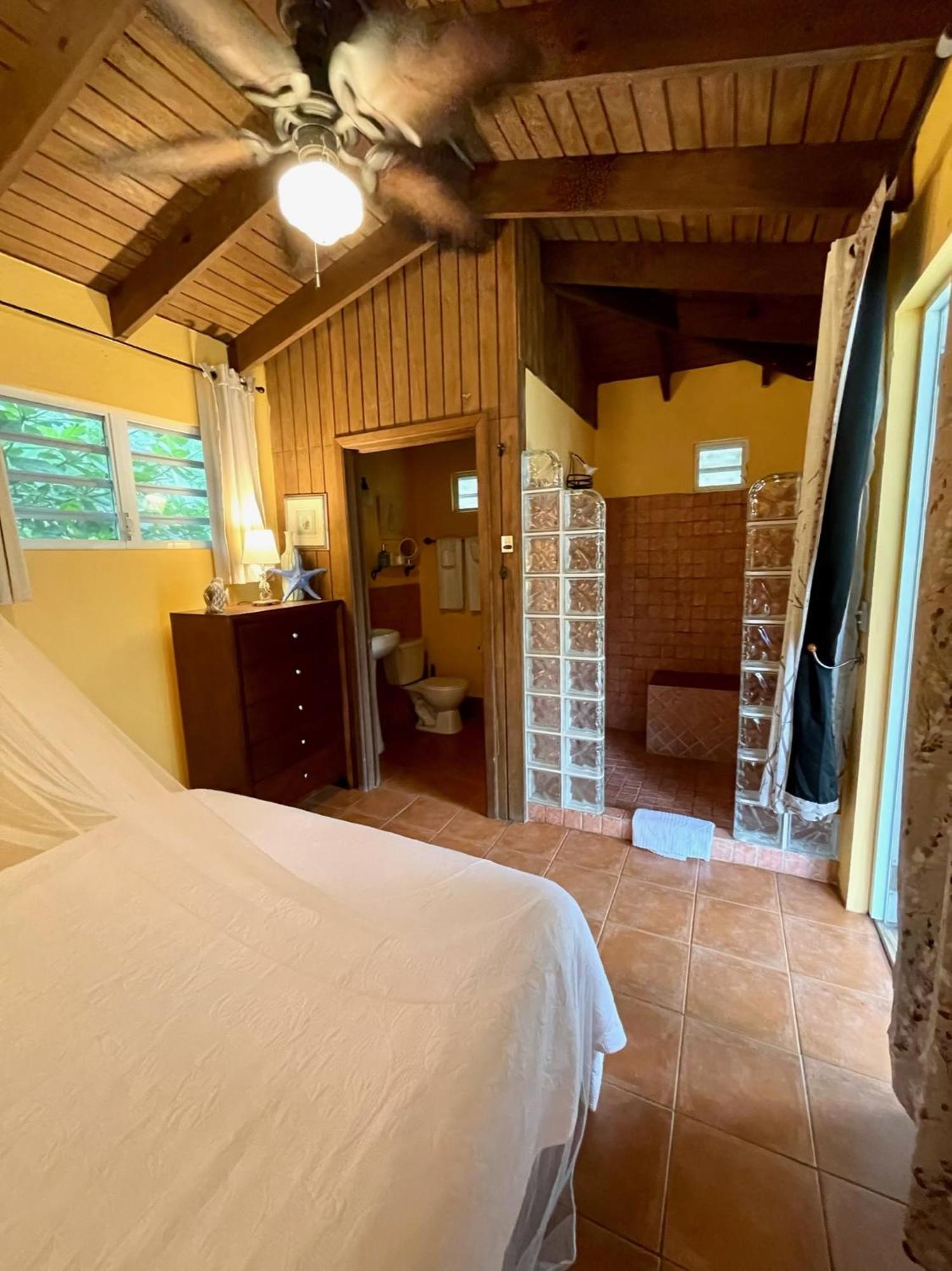 Esperanza Inn Guesthouse (Adults Only) Вьекес Номер фото